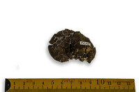 F 02078
<br/>
<br/>
<em></em>